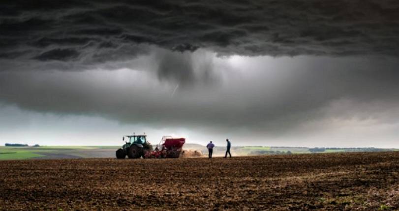 Deutsche Bauern von Klimaveränderungen betroffen